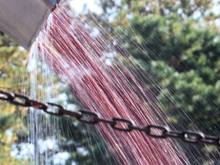 Cranberry rain