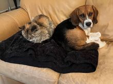 Beamer and Chance