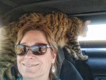 Leo traveling a bit.

