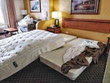 3-29-2018.  This is what happens when your pet friendly hotel room isn't pet proof. Leo found a slight crevice between the box springs above the pedestal of the bed and got in. I was all ready to go and I could not find him. It was a lot of work tearing that apart.   