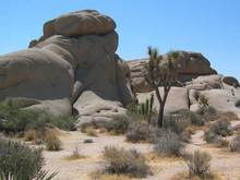 jumbo rock