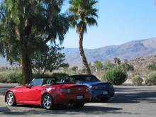 5Borrego