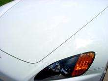 DSC01663.JPG