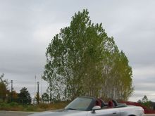 IMG_4926.jpg