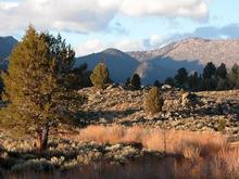 041113 Fall colors.JPG
