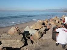 Beach and turkey, 11-25-04