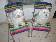 Eli and Shiri 09.jpg