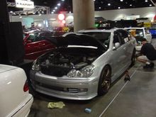 DSC00565.JPG