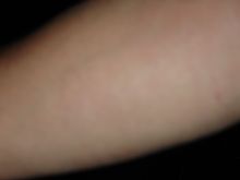 DSC02560.JPG