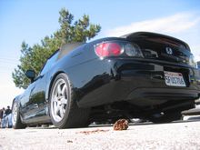 IMG_1113.JPG