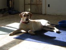 maggie1231.JPG