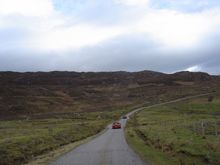 DSC00046_1.jpg