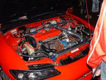 DSCF0074.JPG