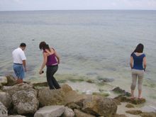Tarpon 089 small.jpg