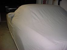Dsc00478.jpg