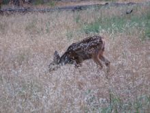 IMG_0288.jpg