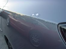 DSC02962.JPG