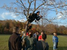 tree_dweller.jpg