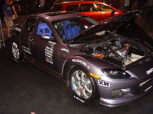 DSC04350.jpg