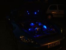 wanker lights 013.jpg