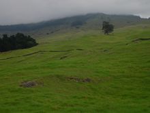 DSC_0037
