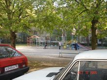 DSC05476.JPG