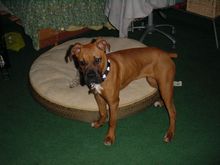 Picture 003.jpg