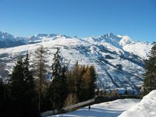 IMG_0010.jpg