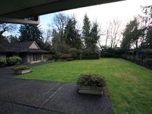 Back Yard 2.jpg