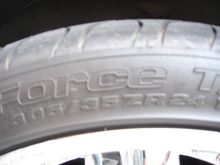 DSC01440.JPG