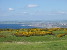 IMG 056.jpg