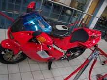 CRW_0147.jpg
