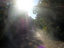 DSC09424 (Large).jpg
