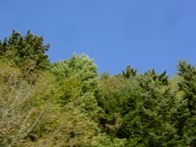 DSC04913.JPG