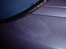 SMALL_DSC01619.jpg