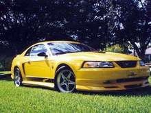 mustangworld1.jpg
