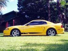 mustangworld2.jpg