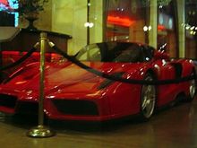 enzo.jpg