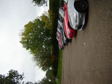 DSC01378.JPG