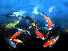 fish5.jpg