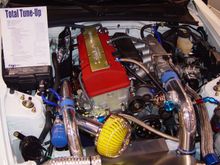 DSC02870.jpg