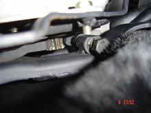 DSC06573 (Medium).JPG