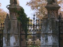 IMG_1180.JPG