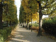 DSC_1092.JPG