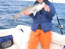 IMG_5003.jpg