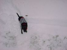 Dsc00588.jpg