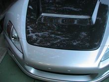 DSC00493-1.JPG