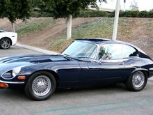 IMG_2075 crop.jpg
