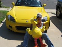 bigbird 020-sm.jpg