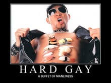 hard gay.jpg